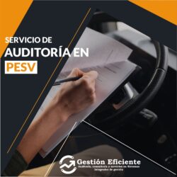 Auditoría en PESV
